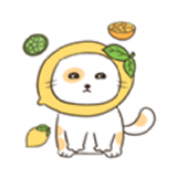 喵喵小猫软件