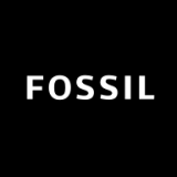Fossil Q软件