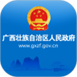 广西政府软件