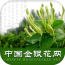 中国金币网软件