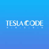 Tesly软件