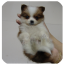 写作文助手软件