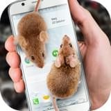 Mouse on Scary Joke软件