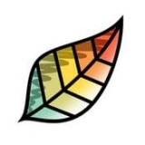 Pigment软件