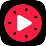 百万英雄答题助手软件