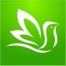 百灵健康医生版软件