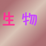 初中生英语学习助手软件