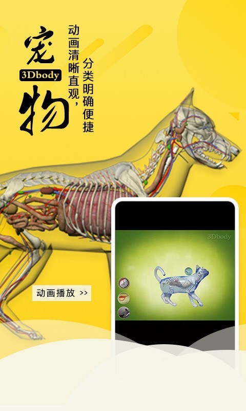 3Dbody解剖