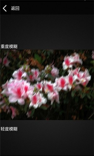 照片变形器