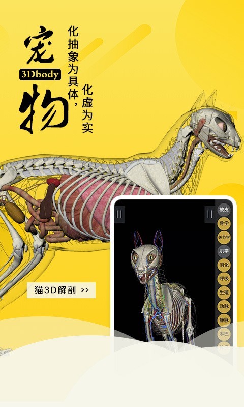 3Dbody解剖