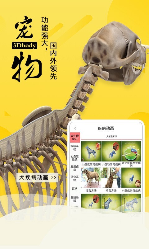 3Dbody解剖