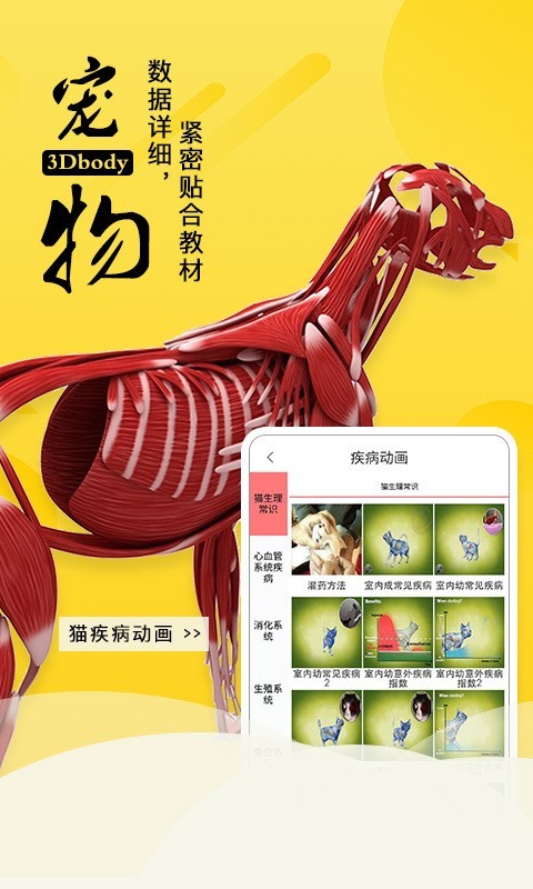 3Dbody解剖
