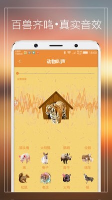 宠物猫狗交流