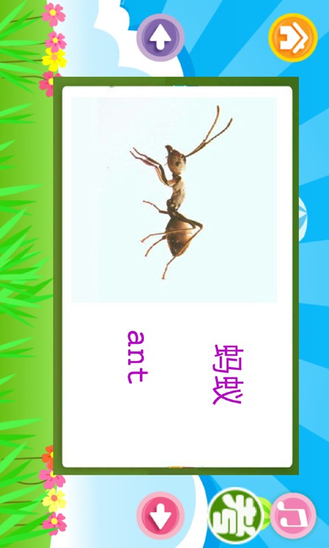 儿童英语岛