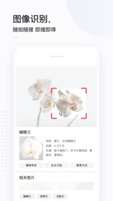 简单搜索冲顶神器软件