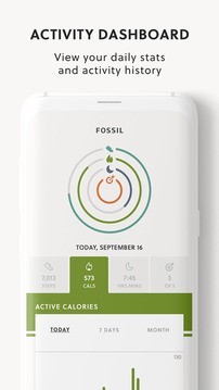 Fossil Q软件