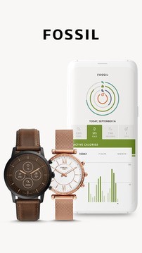 Fossil Q软件