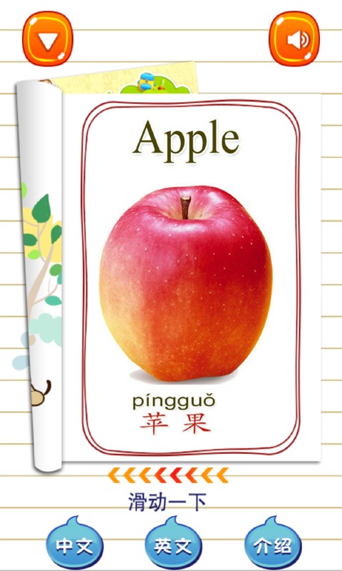 小半龙学动物软件