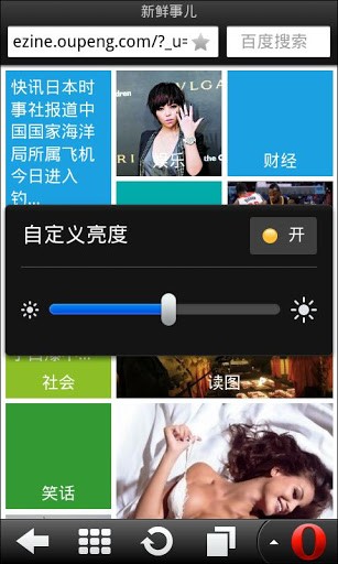 欧朋浏览器测试版软件