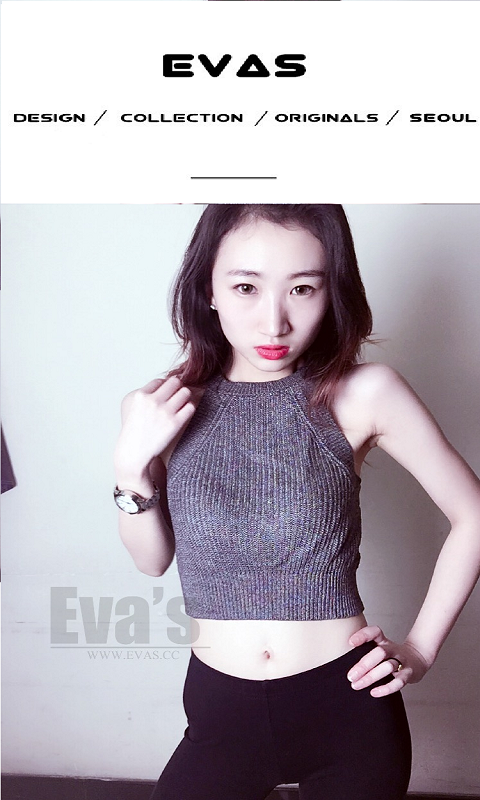 EVA Meeting软件