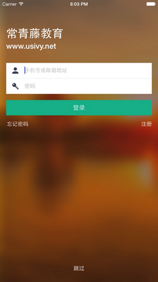 常青藤云医药软件