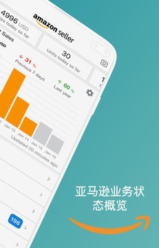 amarey pro软件