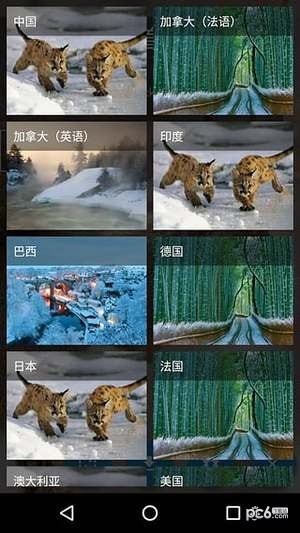 DailyPic软件