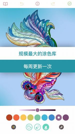 piggy软件