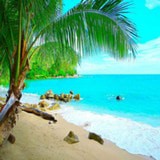 方舟之旅公测版手游