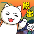 猫与秘密宝藏手游