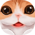 小猫咪故事手游