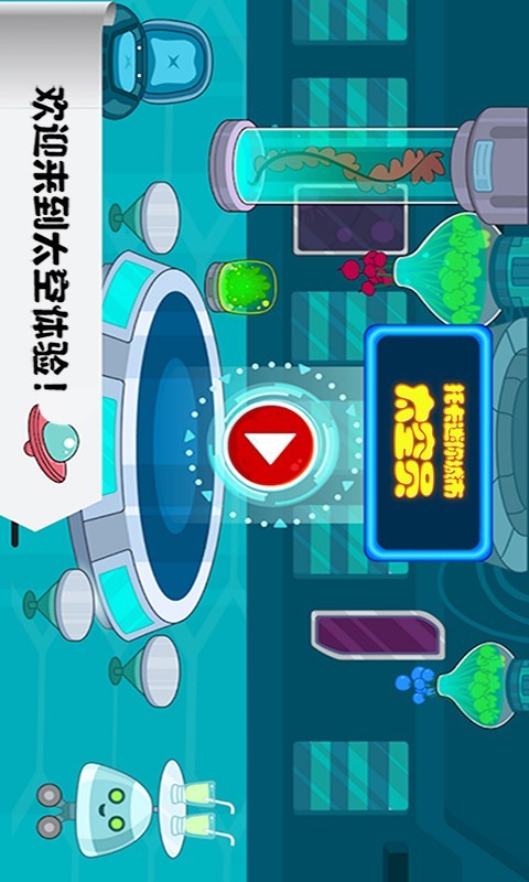 托卡迷你大世界