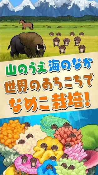 滑子菇栽培（Seasons HD）手游