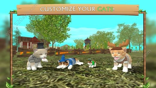 猫咪生存模拟手游