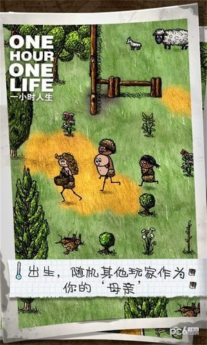 ONE PIECE Bounty Rush手游