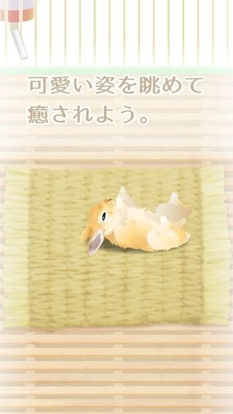 治愈系水母养成游戏手游