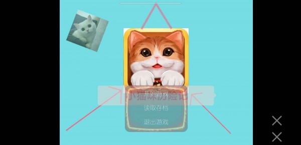 小猫咪故事手游